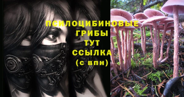 Альфа ПВП Баксан