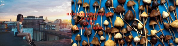 индика Балабаново