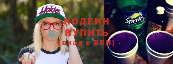 индика Балабаново