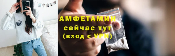индика Балабаново