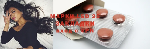 индика Балабаново