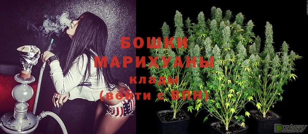 ПСИЛОЦИБИНОВЫЕ ГРИБЫ Балахна