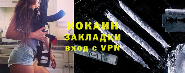 индика Балабаново