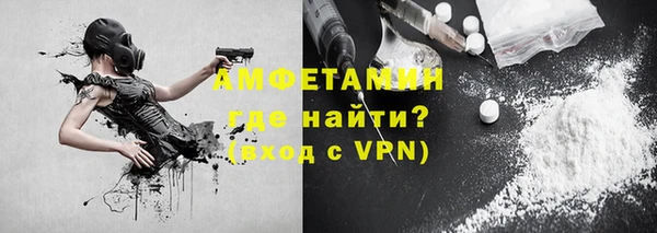 индика Балабаново