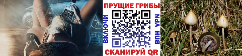 наркотики  Ульяновск  kraken рабочий сайт  Галлюциногенные грибы MAGIC MUSHROOMS 
