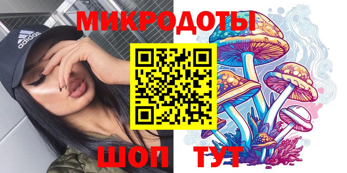 Псилоцибиновые грибы мицелий  Вход с VPN  Ульяновск  Псилоцибиновые грибы Cubensis 