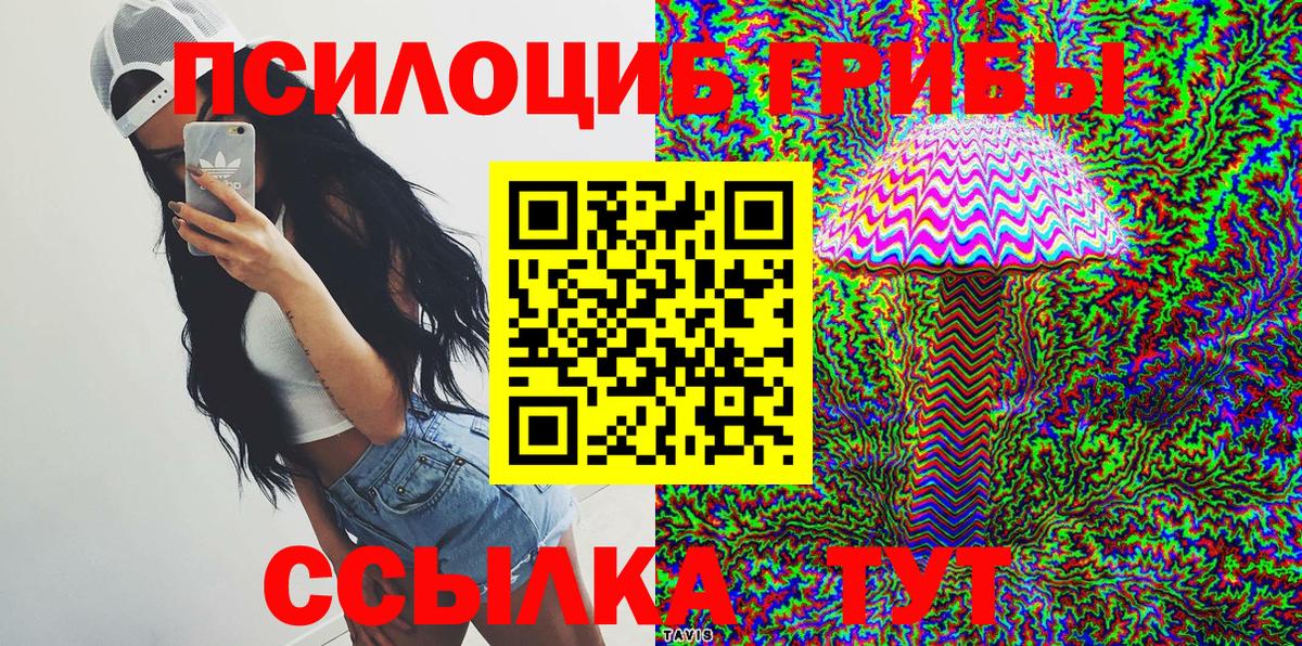 Псилоцибиновые грибы Psilocybe Ульяновск